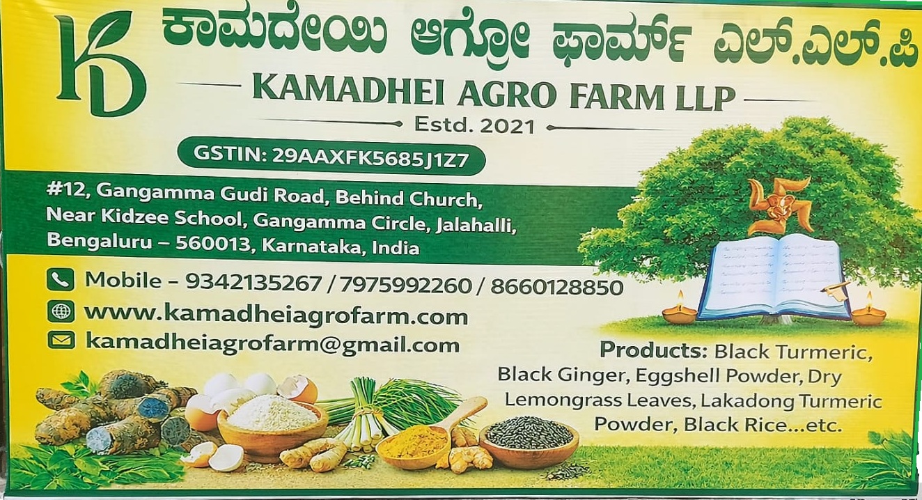 Indian farmer inspecting healthy green organic crops at Kamadhei Agro Farm - best organic farm in Bengaluru, Karnataka
